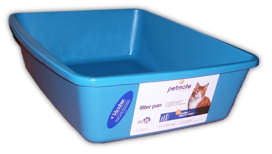 Calypso Pet's Shop