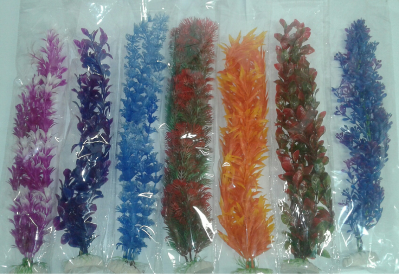 Calypso Pet's Shop