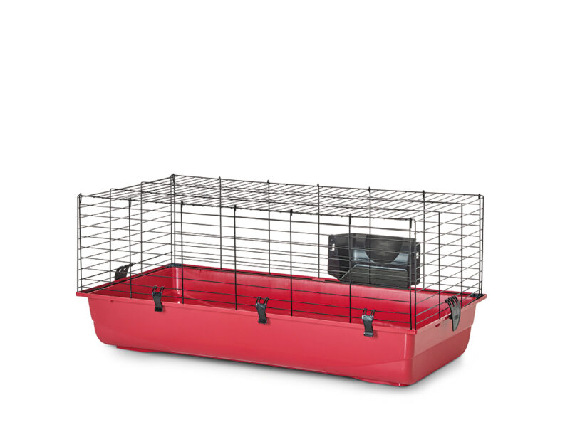 Calypso Pet's Shop